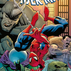 Amazing Spider-Man Vol. 1 - Ritorno alle Origini - Marvel Collection - Panini Comics - Italiano