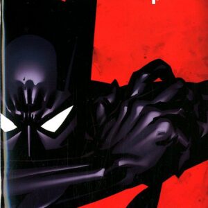 Batman Il Cavaliere Oscuro 2 (56) - Rinascita - RW Lion - Italiano