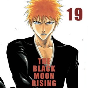 Bleach 19 - Terza Ristampa - Panini Comics - Italiano