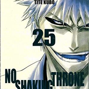 Bleach 25 - Seconda Ristampa - Panini Comics - Italiano