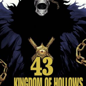 Bleach 43 - Prima Ristampa - Panini Comics - Italiano