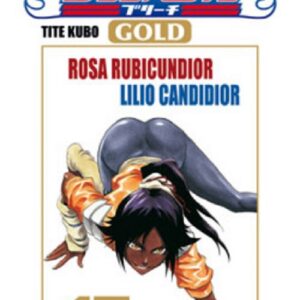 Bleach Gold 17 - Panini Comics - Italiano