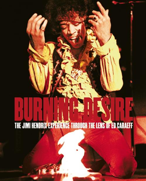 Burning Desire - Rizzoli Lizard - Italiano