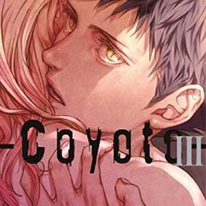 Coyote 3 - Flashbook - Italiano