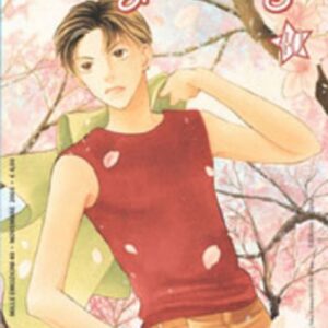 Hanayori Dango 40 - Mille Emozioni 40 - Panini Comics - Italiano