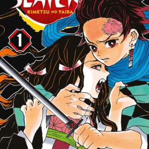 Demon Slayer - Kimetsu No Yaiba 1 - Big 40 - Edizioni Star Comics - Italiano