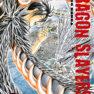Dragon Slayers 2 - Dynit - Italiano