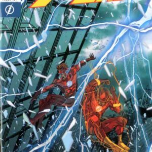 Flash 45 (101) - Rinascita - RW Lion - Italiano