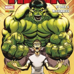 Hulk di Jeph Loeb & Ed McGuinness - Marvel Omnibus - Panini Comics - Italiano