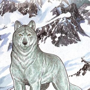 Jiro Taniguchi Deluxe Collection Vol. 7 - I Cani degli Dei - Panini Comics - Italiano