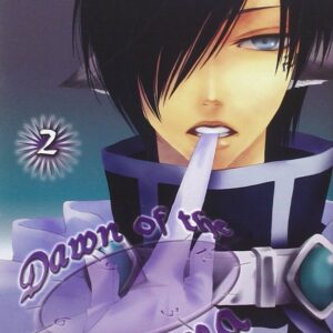 Dawn of the Arcana 2 - Flashbook - Italiano