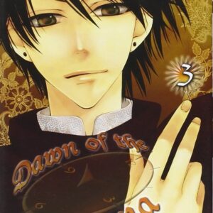 Dawn of the Arcana 3 - Flashbook - Italiano
