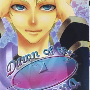 Dawn of the Arcana 5 - Flashbook - Italiano